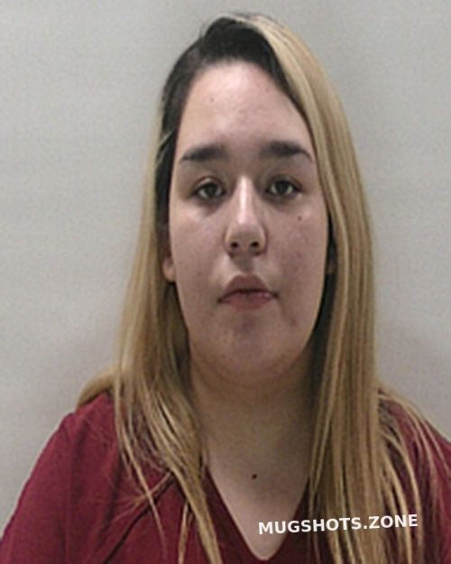 Salinas Gabriela Nicole Cameron County Mugshots Zone