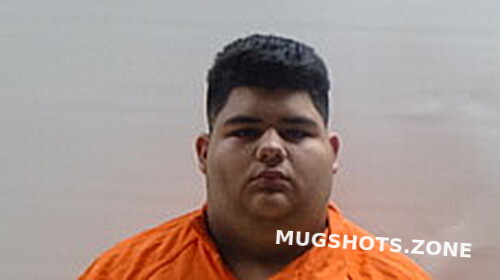 Carrillo Jose Michael Cameron County Mugshots Zone