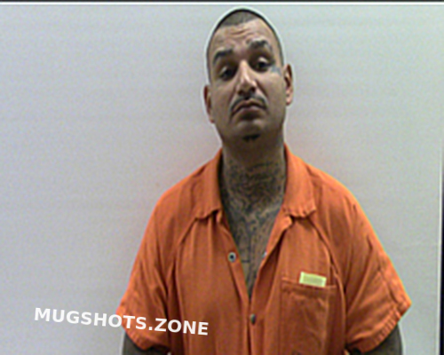 Villarreal Michael Rene Cameron County Mugshots Zone