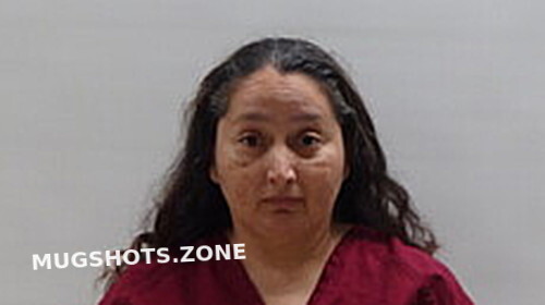 Arredondo Cynthia Cameron County Mugshots Zone