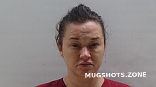 COOK ANGELA GAIL 11 16 2023 Cameron County Mugshots Zone