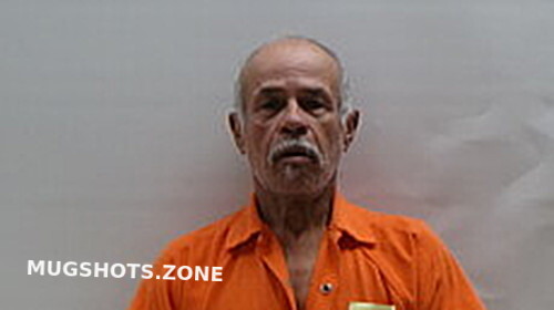 Salinas David Cameron County Mugshots Zone