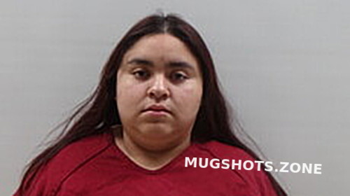 Aguilar Sarai Cameron County Mugshots Zone