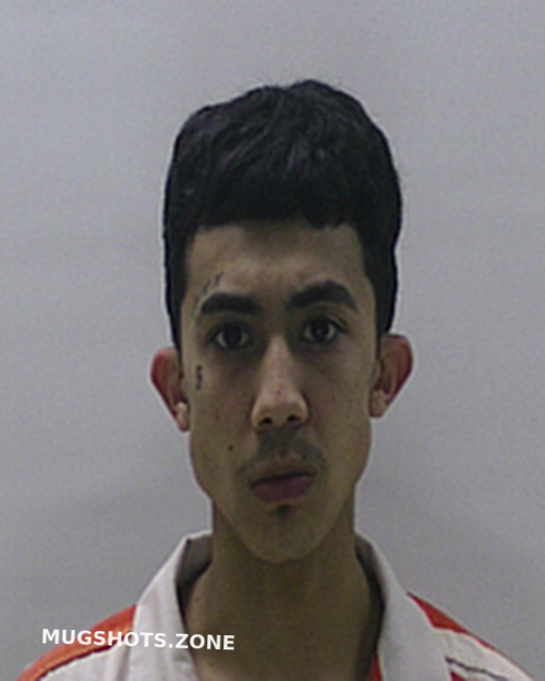 Narvaez Sebastian Cameron County Mugshots Zone