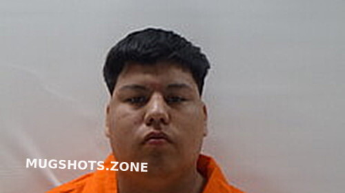 Mendez Ernesto Alonzo Cameron County Mugshots Zone