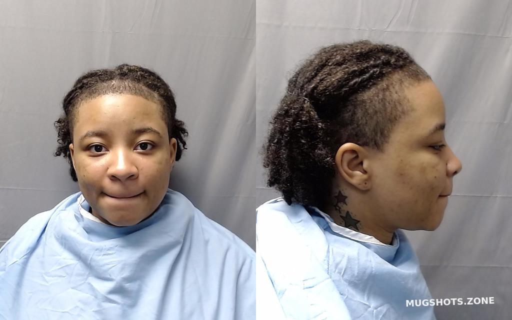 Lee Cassia Shanice Champaign County Mugshots Zone