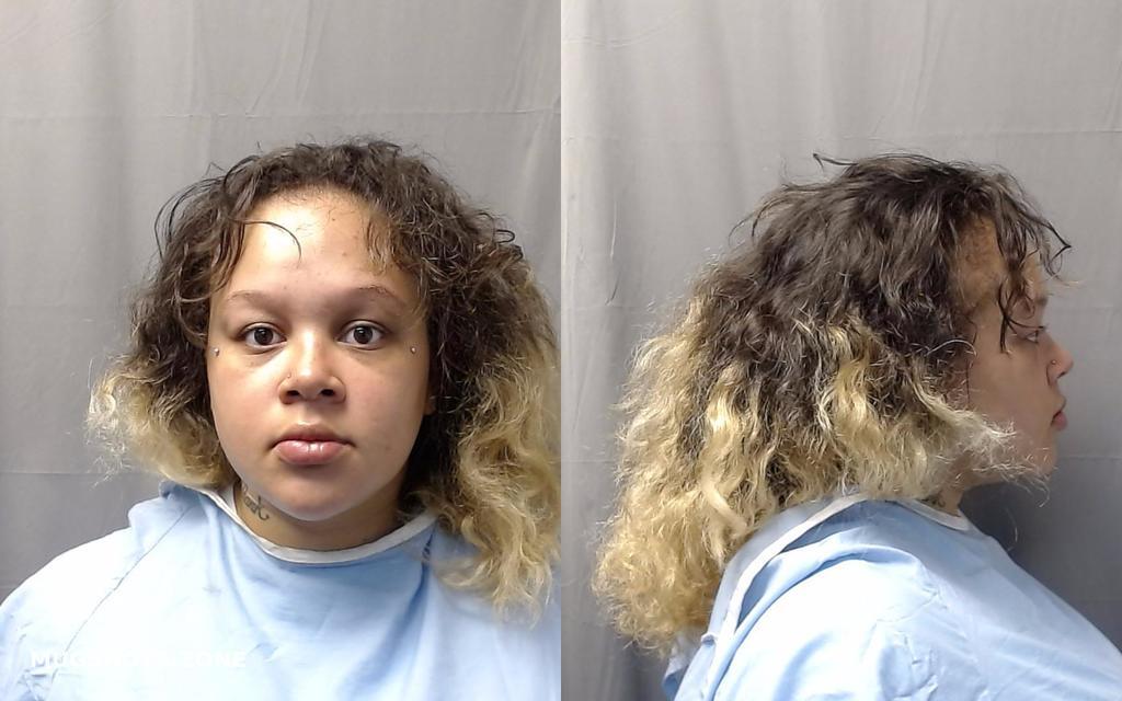 Brooks Haley Rae Champaign County Mugshots Zone