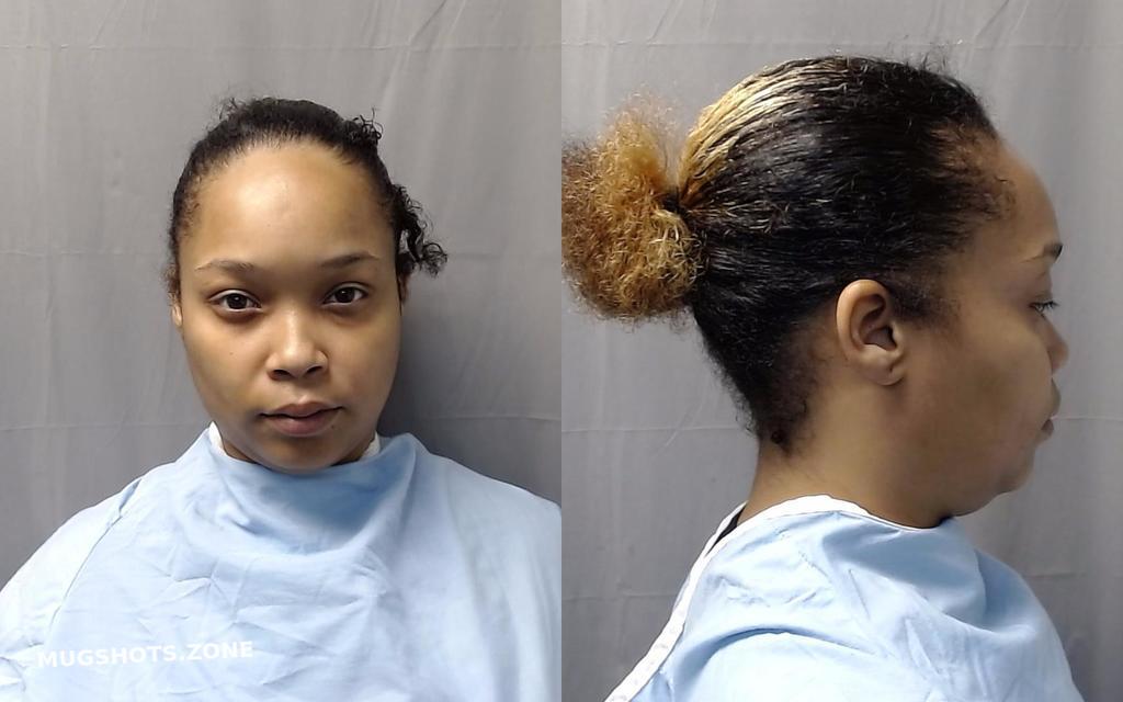 Langley Lisa G Champaign County Mugshots Zone