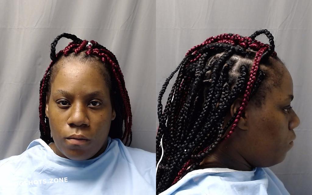 Barnett Telisha Denise Champaign County Mugshots Zone