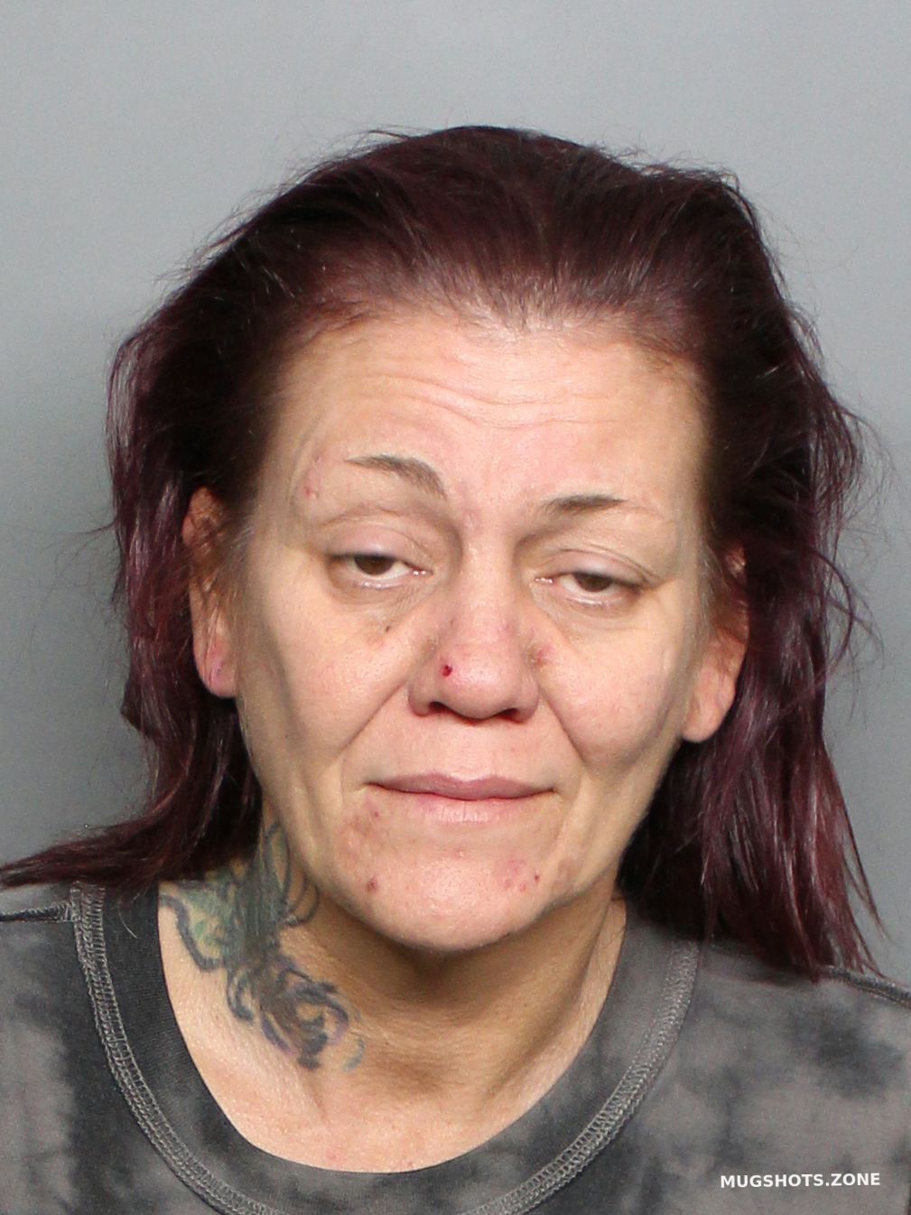 Bunch Freedom Renee Charlotte County Mugshots Zone