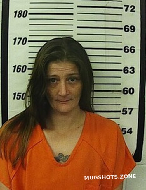 Kiley Beth Burr Cherokee County Mugshots Zone