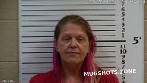 Womble Shanda Bree Cherokee County Mugshots Zone