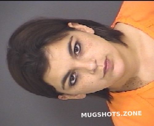 Cobb Constance Rachelle Cherokee County Mugshots Zone