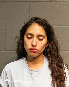 Jeanette Jara Chicago Mugshots Zone