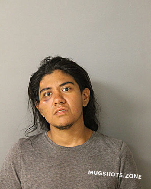 ERIKA ORTIZ 08 27 2021 Chicago Mugshots Zone