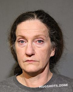 Erika Schwelnus Chicago Mugshots Zone