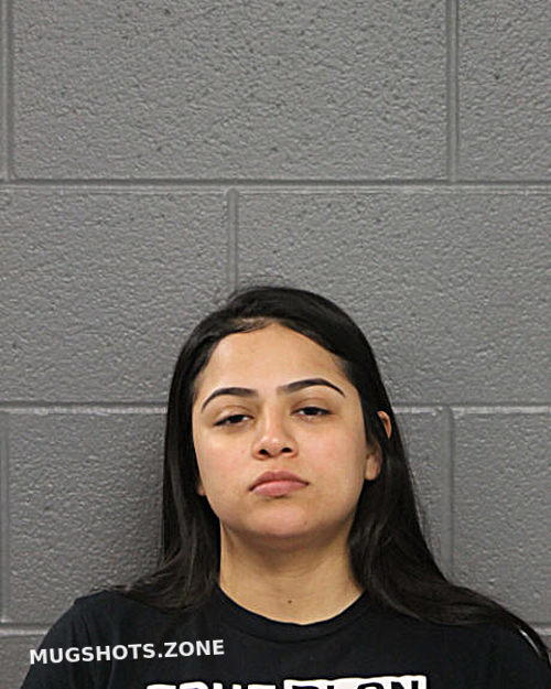 Leslie S Gonzalez Chicago Mugshots Zone