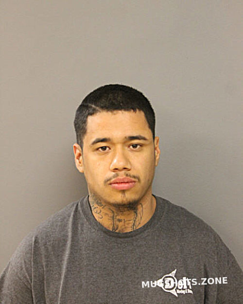 Martin Flores Chicago Mugshots Zone