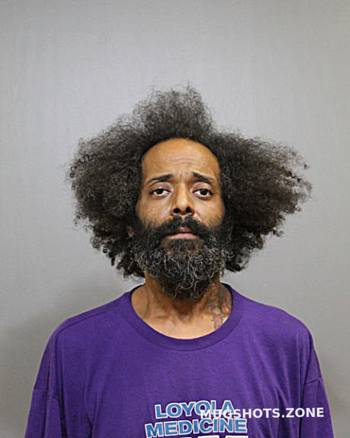 MARIO L BARNES 11 13 2022 Chicago Mugshots Zone