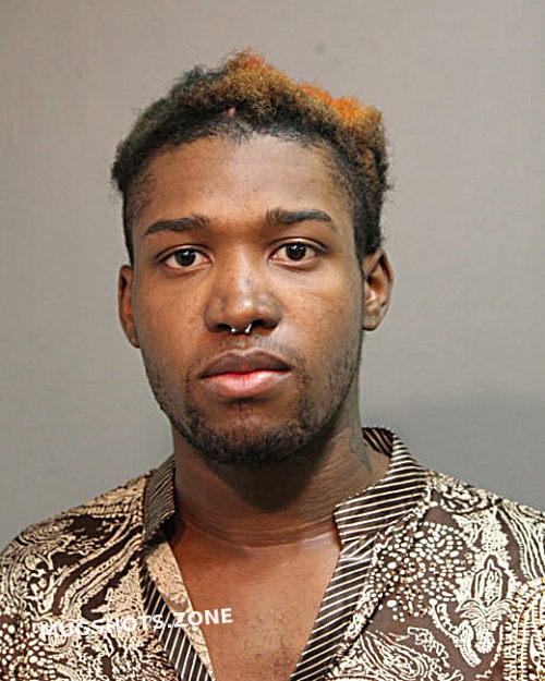 Tyrise Burnap Chicago Mugshots Zone