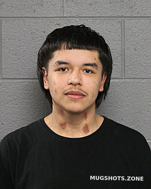 Gerardo Martinez Chicago Mugshots Zone