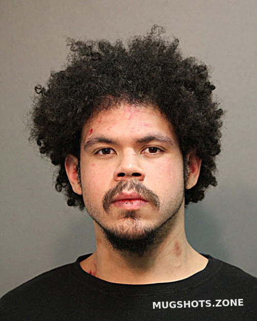 Lee J Ramirez Chicago Mugshots Zone