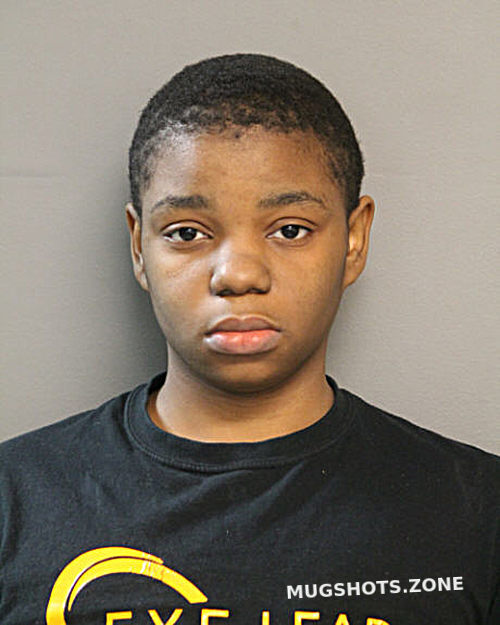 Jasmine R Johnson Chicago Mugshots Zone