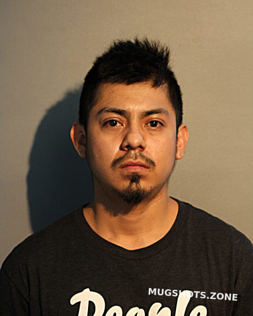 Gerardo Martinez Chicago Mugshots Zone