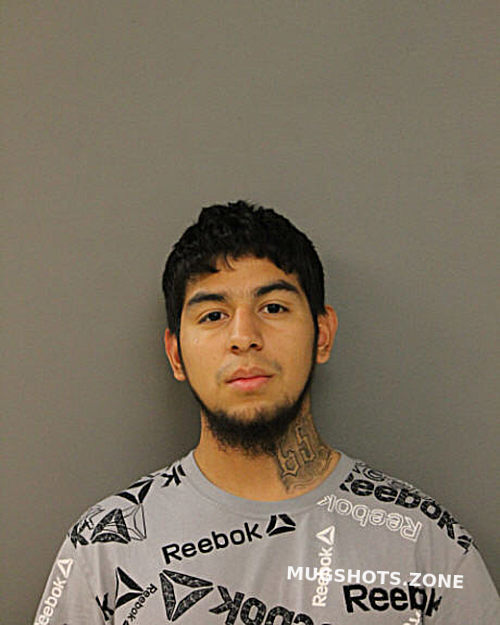 CARLOS ROSALES REYES 03 20 2023 Chicago Mugshots Zone