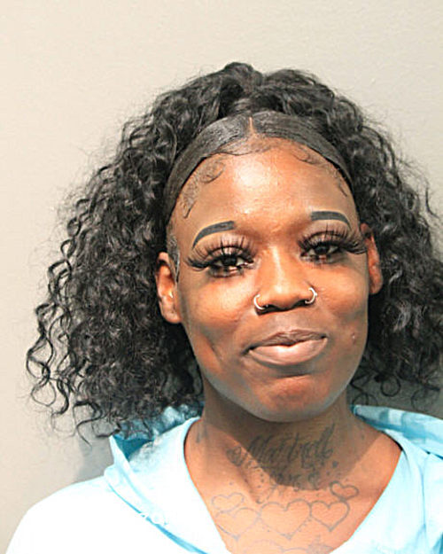 Tierra D Edwards Chicago Mugshots Zone