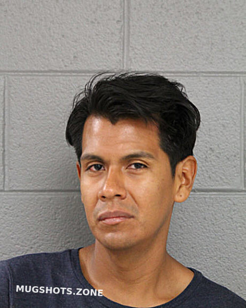 Alfredo A Mones Chicago Mugshots Zone