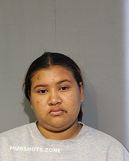 Cynthia Vega Chicago Mugshots Zone