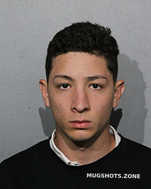 Kevin Alvarez Chicago Mugshots Zone