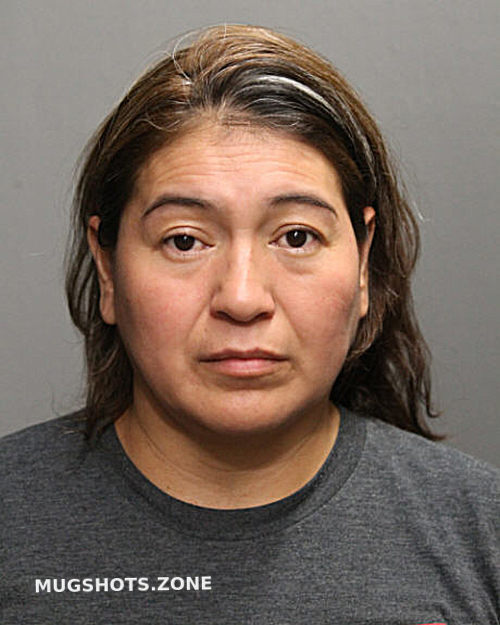 BERTHA FLORINDA FERNANDEZ ARIAS 09 27 2023 Chicago Mugshots Zone