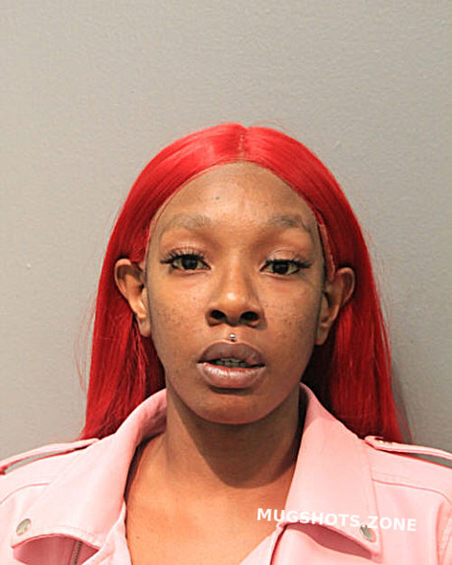 DIAUNA HOWARD 11 21 2023 Chicago Mugshots Zone