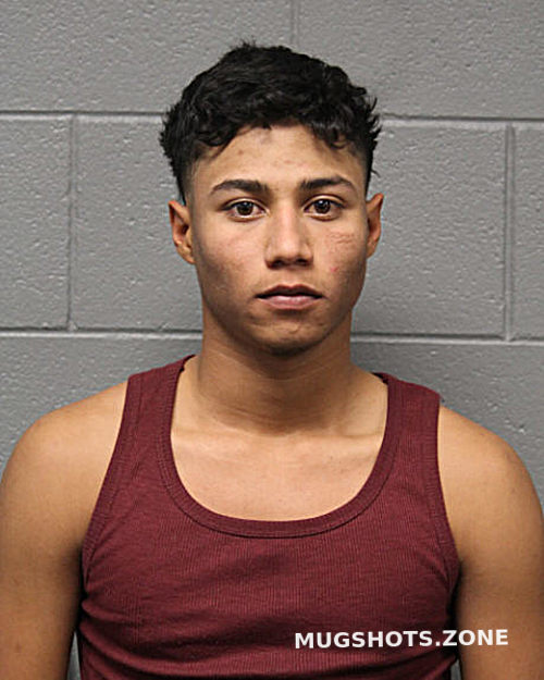 RONAKER FERNANDO MENDOZA RIVAS 01 20 2024 Chicago Mugshots Zone