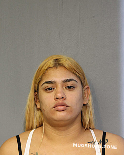 Maria De Los Angeles Martinez Hurtado Chicago Mugshots Zone