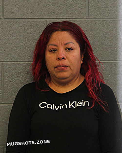 Lucil Delgado Chicago Mugshots Zone