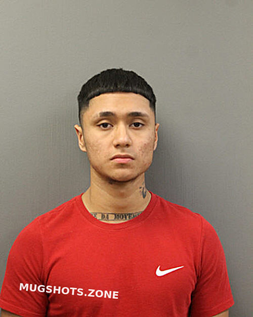 Gerardo Delgado Chicago Mugshots Zone