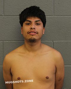 GERARDO REYES BAIZAN 03 14 2024 Chicago Mugshots Zone