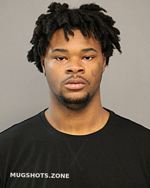 TROY HAYNES 03 24 2024 Chicago Mugshots Zone