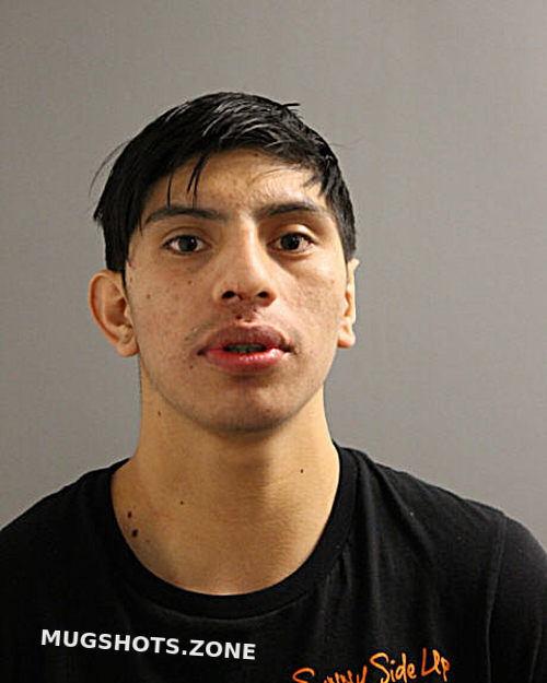 Alex Delgado Chicago Mugshots Zone