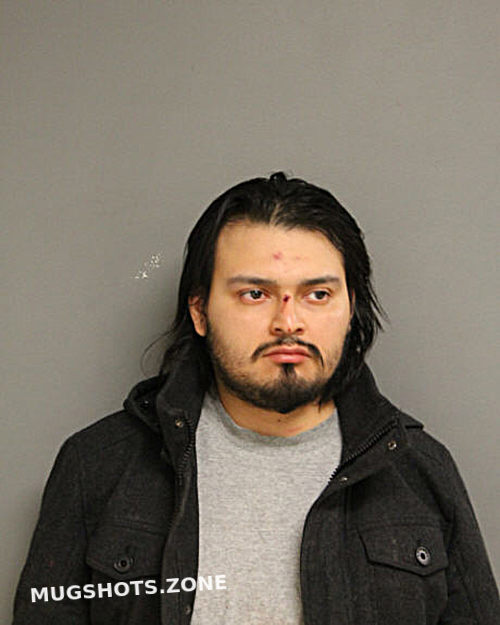 CRISTIAN RAMIREZ 04 02 2024 Chicago Mugshots Zone