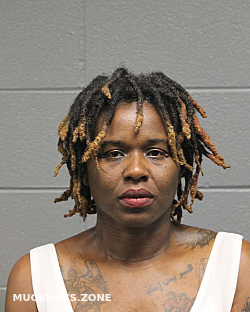 JERI HAYES 05 21 2024 Chicago Mugshots Zone