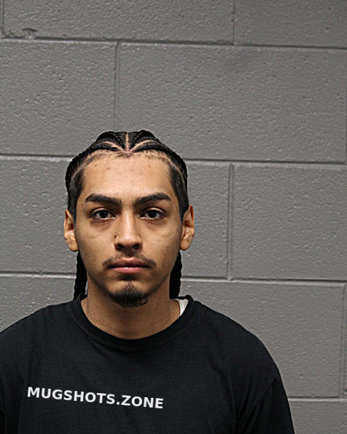 JEREMIE REYES GONZALEZ 06 04 2024 Chicago Mugshots Zone