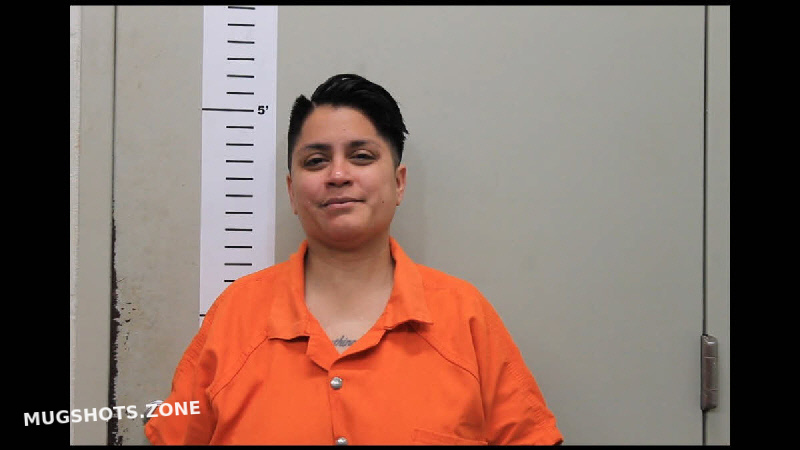 Martinez Priscilla Denyse Chilton County Mugshots Zone