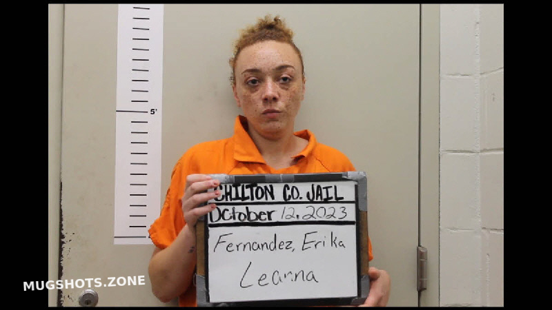 FERNANDEZ ERIKA LEANNA 06 11 2024 Chilton County Mugshots Zone