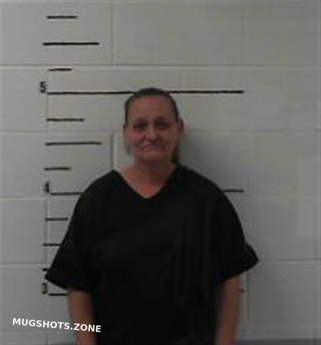 Jenkins Tonia Clay County Mugshots Zone