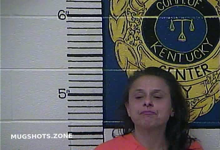 AZIZPOUR MELANIE 01 02 2024 Clay County Mugshots Zone