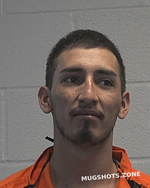 IBARRA SILVA RICARDO ANGEL 03 20 2024 Cleveland County Mugshots Zone